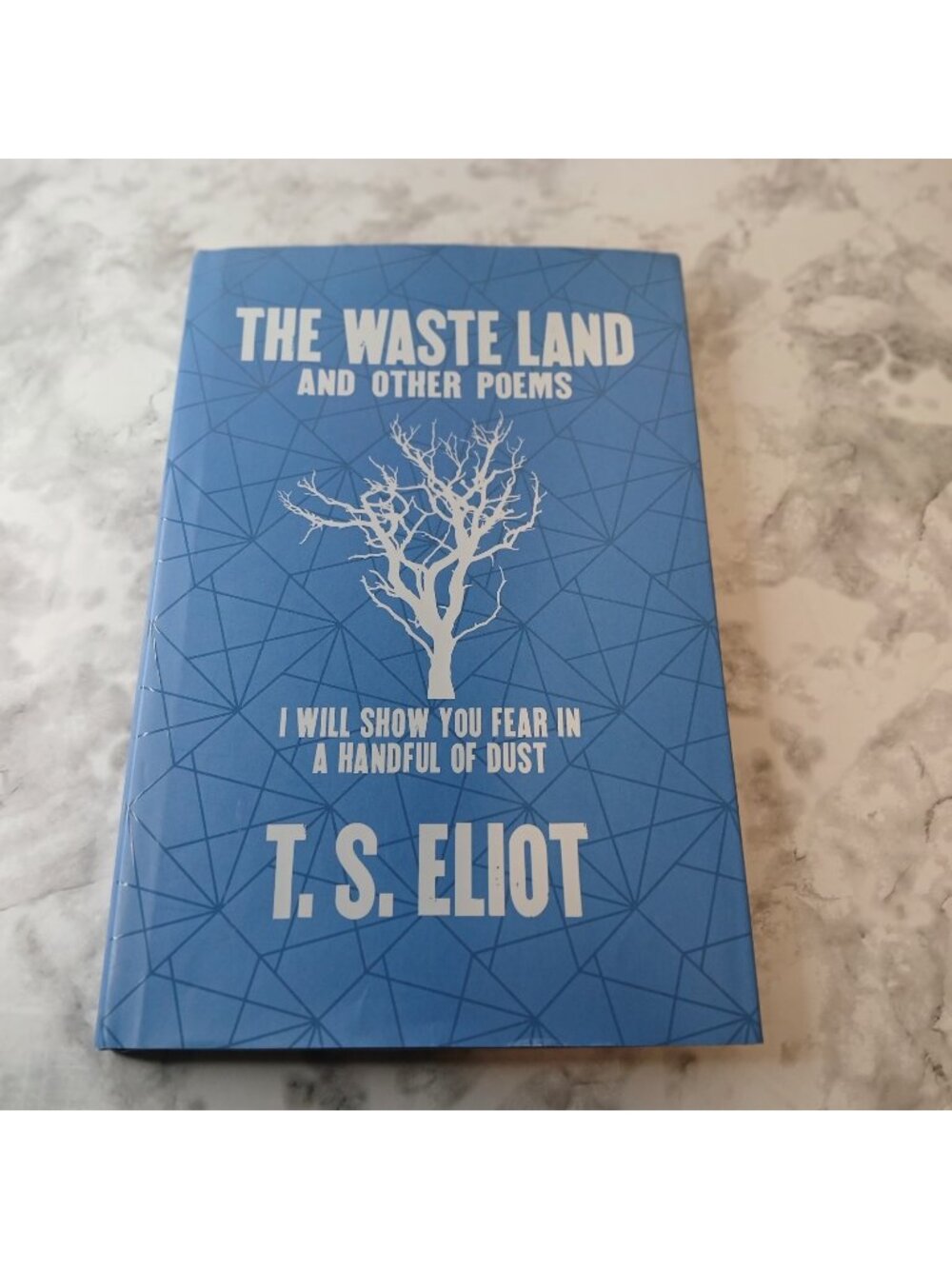 The Waste Land and Other Poems by T.S. Eliot Hardcover Classic Poetry Book